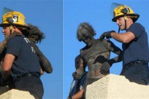Chimney Rescue: Man Trapped in Chimney - Survival Guide Chimney Works – Expert Chimney Repair, Cleaning & Installation Services Chimney Rescue: Man Trapped in Chimney - Survival Guide | Chimney Works – Expert Chimney Repair, Cleaning & Installation Services