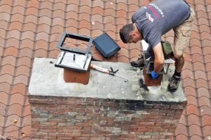 Animal Removal: Chimney Sweep Cost & Prevention Chimney Works – Expert Chimney Repair, Cleaning & Installation Services Animal Removal: Chimney Sweep Cost & Prevention | Chimney Works – Expert Chimney Repair, Cleaning & Installation Services