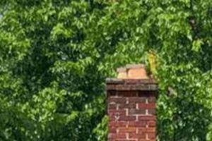 Ann Arbor Chimney Repair: Expert Local Service & More Chimney Works – Expert Chimney Repair, Cleaning & Installation Services Ann Arbor Chimney Repair: Expert Local Service & More | Chimney Works – Expert Chimney Repair, Cleaning & Installation Services