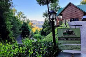 Visit Chimney Tops Overlook: Views & Hikes Await! Chimney Works – Expert Chimney Repair, Cleaning & Installation Services Visit Chimney Tops Overlook: Views & Hikes Await! | Chimney Works – Expert Chimney Repair, Cleaning & Installation Services