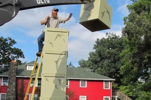 Build Swift Towers: Chimney Wonders for Birds Chimney Works – Expert Chimney Repair, Cleaning & Installation Services Build Swift Towers: Chimney Wonders for Birds | Chimney Works – Expert Chimney Repair, Cleaning & Installation Services