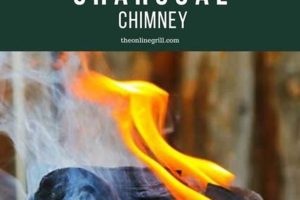 The Ultimate Guide: Best Way to Light a Charcoal Chimney Fast Chimney Works – Expert Chimney Repair, Cleaning & Installation Services The Ultimate Guide: Best Way to Light a Charcoal Chimney Fast | Chimney Works – Expert Chimney Repair, Cleaning & Installation Services