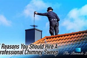 Pinnacle Chimney Sweeps: Safe & Reliable Sweep Pros Chimney Works – Expert Chimney Repair, Cleaning & Installation Services Pinnacle Chimney Sweeps: Safe & Reliable Sweep Pros | Chimney Works – Expert Chimney Repair, Cleaning & Installation Services