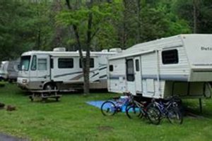 Discover Natural Chimneys Campground: A Valley Gem Chimney Works – Expert Chimney Repair, Cleaning & Installation Services Discover Natural Chimneys Campground: A Valley Gem | Chimney Works – Expert Chimney Repair, Cleaning & Installation Services