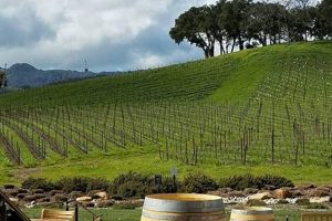 Discover 11680 Chimney Rock Rd, Paso Robles CA - Guide Chimney Works – Expert Chimney Repair, Cleaning & Installation Services Discover 11680 Chimney Rock Rd, Paso Robles CA - Guide | Chimney Works – Expert Chimney Repair, Cleaning & Installation Services