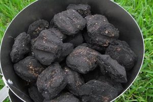Easy Charcoal: Briquette Chimney Starter Guide! Chimney Works – Expert Chimney Repair, Cleaning & Installation Services Easy Charcoal: Briquette Chimney Starter Guide! | Chimney Works – Expert Chimney Repair, Cleaning & Installation Services