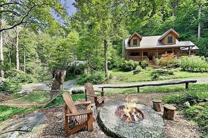 Escape to Serenity: Cabin Rentals in Chimney Rock, NC Await! Chimney Works – Expert Chimney Repair, Cleaning & Installation Services Escape to Serenity: Cabin Rentals in Chimney Rock, NC Await! | Chimney Works – Expert Chimney Repair, Cleaning & Installation Services