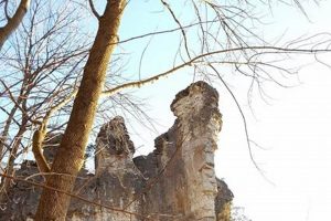 Visit Chimney Rock, Virginia: An Unforgettable View Chimney Works – Expert Chimney Repair, Cleaning & Installation Services Visit Chimney Rock, Virginia: An Unforgettable View | Chimney Works – Expert Chimney Repair, Cleaning & Installation Services