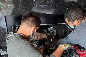 Ignite Chimney & Fireplace Co: Expert Care & Repair Chimney Works – Expert Chimney Repair, Cleaning & Installation Services Ignite Chimney & Fireplace Co: Expert Care & Repair | Chimney Works – Expert Chimney Repair, Cleaning & Installation Services