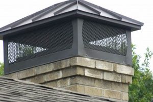 Top Chimney Cap Ideas: Styles & Protection Now! Chimney Works – Expert Chimney Repair, Cleaning & Installation Services Top Chimney Cap Ideas: Styles & Protection Now! | Chimney Works – Expert Chimney Repair, Cleaning & Installation Services