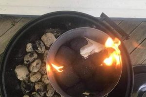 Easy Start: How to Light Charcoal Without Chimney Starter Tips Chimney Works – Expert Chimney Repair, Cleaning & Installation Services Easy Start: How to Light Charcoal Without Chimney Starter Tips | Chimney Works – Expert Chimney Repair, Cleaning & Installation Services