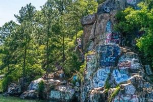 Explore Chimney Rock at Alabama's Lake Martin Chimney Works – Expert Chimney Repair, Cleaning & Installation Services Explore Chimney Rock at Alabama's Lake Martin | Chimney Works – Expert Chimney Repair, Cleaning & Installation Services