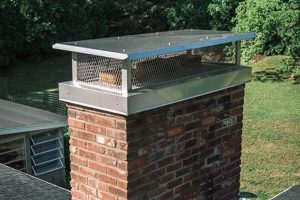 Protect Your Home: Chimney Flue Cap Benefits & Types Chimney Works – Expert Chimney Repair, Cleaning & Installation Services Protect Your Home: Chimney Flue Cap Benefits & Types | Chimney Works – Expert Chimney Repair, Cleaning & Installation Services