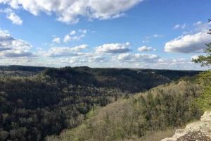 Hike Chimney Top Rock Trail: Pine Ridge, KY's Best View Chimney Works – Expert Chimney Repair, Cleaning & Installation Services Hike Chimney Top Rock Trail: Pine Ridge, KY's Best View | Chimney Works – Expert Chimney Repair, Cleaning & Installation Services
