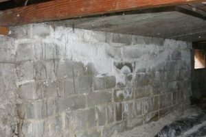 Stop Chimney Efflorescence: Causes & Repair Tips Chimney Works – Expert Chimney Repair, Cleaning & Installation Services Stop Chimney Efflorescence: Causes & Repair Tips | Chimney Works – Expert Chimney Repair, Cleaning & Installation Services