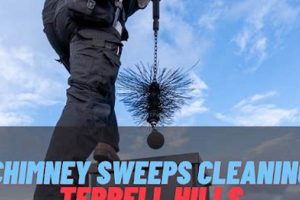 Top-Rated Chimney Sweeps in San Antonio, TX - [Year] | Chimney Works – Expert Chimney Repair, Cleaning & Installation Services