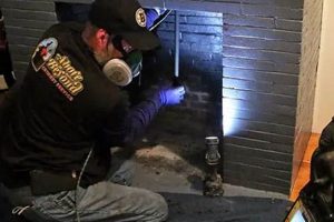 Weymouth Chimney Sweep: Safe & Sound Flues Near You Chimney Works – Expert Chimney Repair, Cleaning & Installation Services Weymouth Chimney Sweep: Safe & Sound Flues Near You | Chimney Works – Expert Chimney Repair, Cleaning & Installation Services