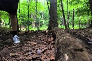 Play at Chimney Rock Disc Golf Course | NC Fun! Chimney Works – Expert Chimney Repair, Cleaning & Installation Services Play at Chimney Rock Disc Golf Course | NC Fun! | Chimney Works – Expert Chimney Repair, Cleaning & Installation Services