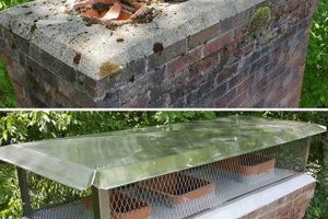 Caesar Chimney Designs: Grand & Safe Chimneys Chimney Works – Expert Chimney Repair, Cleaning & Installation Services Caesar Chimney Designs: Grand & Safe Chimneys | Chimney Works – Expert Chimney Repair, Cleaning & Installation Services