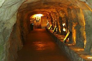 Chimney Rock NC Elevator: Summit Access & Views! Chimney Works – Expert Chimney Repair, Cleaning & Installation Services Chimney Rock NC Elevator: Summit Access & Views! | Chimney Works – Expert Chimney Repair, Cleaning & Installation Services