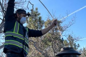Big Bear Chimney Sweep: Expert Cleaning & Safety Chimney Works – Expert Chimney Repair, Cleaning & Installation Services Big Bear Chimney Sweep: Expert Cleaning & Safety | Chimney Works – Expert Chimney Repair, Cleaning & Installation Services