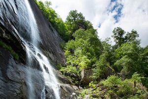 Visit Chimney Rock Falls, NC: Your Complete Guide Chimney Works – Expert Chimney Repair, Cleaning & Installation Services Visit Chimney Rock Falls, NC: Your Complete Guide | Chimney Works – Expert Chimney Repair, Cleaning & Installation Services