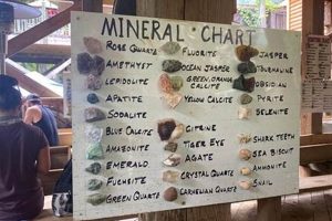Unearth Gems: Chimney Rock Gemstone Mine, NC - Your Guide! Chimney Works – Expert Chimney Repair, Cleaning & Installation Services Unearth Gems: Chimney Rock Gemstone Mine, NC - Your Guide! | Chimney Works – Expert Chimney Repair, Cleaning & Installation Services