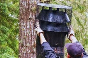 Eco-Friendly Green Power Chimney Sweeps: Clean & Safe Chimney Works – Expert Chimney Repair, Cleaning & Installation Services Eco-Friendly Green Power Chimney Sweeps: Clean & Safe | Chimney Works – Expert Chimney Repair, Cleaning & Installation Services