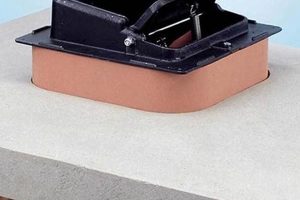 Protect Your Home: Chimney Cap Dampers Explained + Chimney Works – Expert Chimney Repair, Cleaning & Installation Services Protect Your Home: Chimney Cap Dampers Explained + | Chimney Works – Expert Chimney Repair, Cleaning & Installation Services