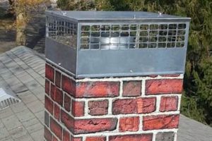 Essential Chimney Accessories: Improve Your Flue's Performance Chimney Works – Expert Chimney Repair, Cleaning & Installation Services Essential Chimney Accessories: Improve Your Flue's Performance | Chimney Works – Expert Chimney Repair, Cleaning & Installation Services