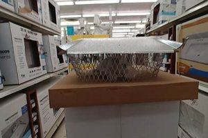 Protect Your Chimney: Chimney Cap Menards Guide & Tips Chimney Works – Expert Chimney Repair, Cleaning & Installation Services Protect Your Chimney: Chimney Cap Menards Guide & Tips | Chimney Works – Expert Chimney Repair, Cleaning & Installation Services