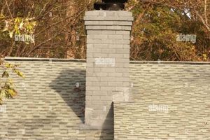 Expert Chimney USA: Inspection & Repair Service Chimney Works – Expert Chimney Repair, Cleaning & Installation Services Expert Chimney USA: Inspection & Repair Service | Chimney Works – Expert Chimney Repair, Cleaning & Installation Services