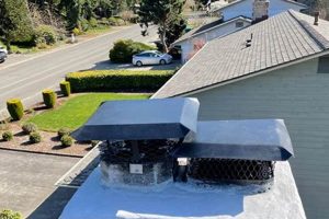 Seattle Chimney Cleaning: Expert Care + Safety First Chimney Works – Expert Chimney Repair, Cleaning & Installation Services Seattle Chimney Cleaning: Expert Care + Safety First | Chimney Works – Expert Chimney Repair, Cleaning & Installation Services