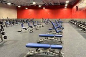 Crunch Fitness Chimney Hill Reviews: Is It Worth It? Chimney Works – Expert Chimney Repair, Cleaning & Installation Services Crunch Fitness Chimney Hill Reviews: Is It Worth It? | Chimney Works – Expert Chimney Repair, Cleaning & Installation Services