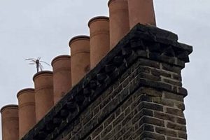 Pro Gas Fireplace Chimney Sweep Service: Safe & Sound Chimney Works – Expert Chimney Repair, Cleaning & Installation Services Pro Gas Fireplace Chimney Sweep Service: Safe & Sound | Chimney Works – Expert Chimney Repair, Cleaning & Installation Services