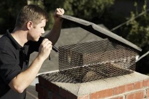 Chimney Cleaning Fairfax Chimney Works – Expert Chimney Repair, Cleaning & Installation Services Chimney Cleaning Fairfax | Chimney Works – Expert Chimney Repair, Cleaning & Installation Services