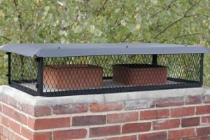 Protect Your Home: Chimney Caps - Solutions & Savings Chimney Works – Expert Chimney Repair, Cleaning & Installation Services Protect Your Home: Chimney Caps - Solutions & Savings | Chimney Works – Expert Chimney Repair, Cleaning & Installation Services