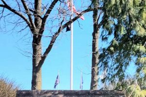 Explore Chimney Rock Bridgewater: Guide & Local Gems Chimney Works – Expert Chimney Repair, Cleaning & Installation Services Explore Chimney Rock Bridgewater: Guide & Local Gems | Chimney Works – Expert Chimney Repair, Cleaning & Installation Services