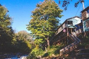 Chimney Rock Lodge: Your Gateway to Scenic Mountain Views Chimney Works – Expert Chimney Repair, Cleaning & Installation Services Chimney Rock Lodge: Your Gateway to Scenic Mountain Views | Chimney Works – Expert Chimney Repair, Cleaning & Installation Services