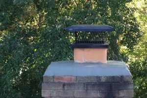 Top-Rated Chimney Sweep Woodbridge VA Services + Repair Chimney Works – Expert Chimney Repair, Cleaning & Installation Services Top-Rated Chimney Sweep Woodbridge VA Services + Repair | Chimney Works – Expert Chimney Repair, Cleaning & Installation Services