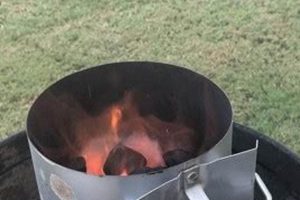 Buy Best Charcoal Chimney Starter at Target Today! Chimney Works – Expert Chimney Repair, Cleaning & Installation Services Buy Best Charcoal Chimney Starter at Target Today! | Chimney Works – Expert Chimney Repair, Cleaning & Installation Services
