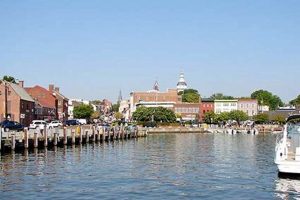 Annapolis Chimney Sweeps: Services & Safety Tips Chimney Works – Expert Chimney Repair, Cleaning & Installation Services Annapolis Chimney Sweeps: Services & Safety Tips | Chimney Works – Expert Chimney Repair, Cleaning & Installation Services