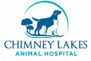 Your Chimney Lakes Animal Hospital: Care & Wellness Tips Chimney Works – Expert Chimney Repair, Cleaning & Installation Services Your Chimney Lakes Animal Hospital: Care & Wellness Tips | Chimney Works – Expert Chimney Repair, Cleaning & Installation Services
