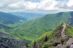 Explore Chimney Tops: Great Smoky Mountains Hikes & Views Chimney Works – Expert Chimney Repair, Cleaning & Installation Services Explore Chimney Tops: Great Smoky Mountains Hikes & Views | Chimney Works – Expert Chimney Repair, Cleaning & Installation Services