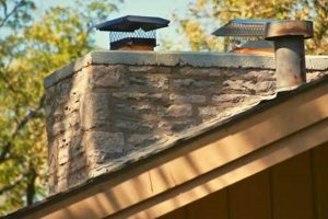 Protect Your Home: Capping an Unused Chimney Done Right Chimney Works – Expert Chimney Repair, Cleaning & Installation Services Protect Your Home: Capping an Unused Chimney Done Right | Chimney Works – Expert Chimney Repair, Cleaning & Installation Services