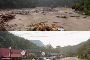 Chimney Rock: Hurricane Impact & Recovery Guide Chimney Works – Expert Chimney Repair, Cleaning & Installation Services Chimney Rock: Hurricane Impact & Recovery Guide | Chimney Works – Expert Chimney Repair, Cleaning & Installation Services