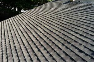 Reliable Sunrise Roofing & Chimney: Expert Care Chimney Works – Expert Chimney Repair, Cleaning & Installation Services Reliable Sunrise Roofing & Chimney: Expert Care | Chimney Works – Expert Chimney Repair, Cleaning & Installation Services