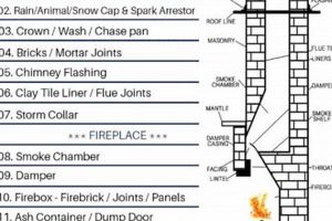 Gas Fireplace Chimney Inspection: Safety First! Chimney Works – Expert Chimney Repair, Cleaning & Installation Services Gas Fireplace Chimney Inspection: Safety First! | Chimney Works – Expert Chimney Repair, Cleaning & Installation Services