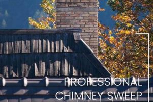 Santa Monica Chimney Sweep: Expert Cleaning & Repair Chimney Works – Expert Chimney Repair, Cleaning & Installation Services Santa Monica Chimney Sweep: Expert Cleaning & Repair | Chimney Works – Expert Chimney Repair, Cleaning & Installation Services