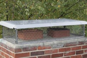 Enhance Your Chimney: HY-C Chimney Caps Protection Chimney Works – Expert Chimney Repair, Cleaning & Installation Services Enhance Your Chimney: HY-C Chimney Caps Protection | Chimney Works – Expert Chimney Repair, Cleaning & Installation Services